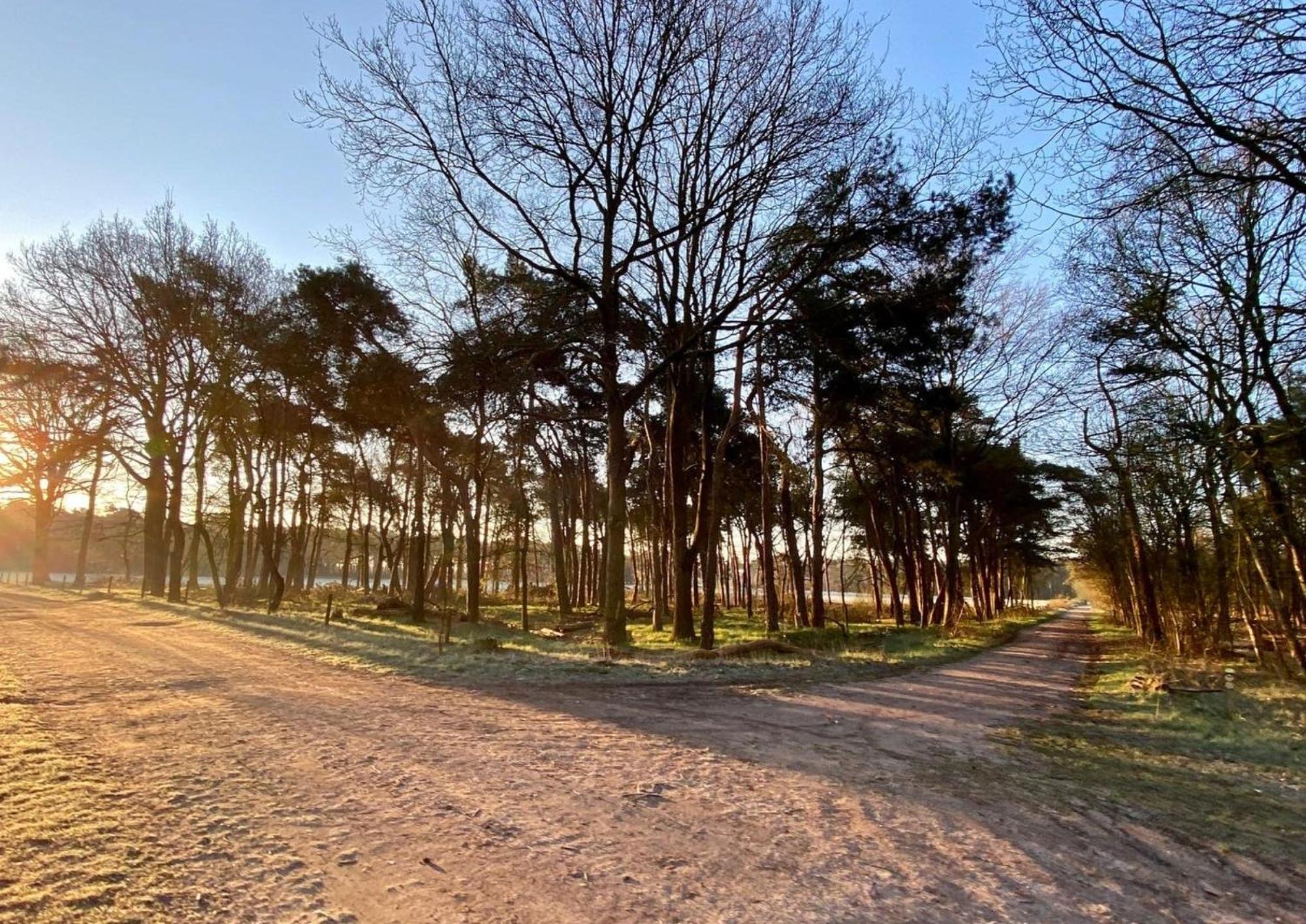 Hotspot Location, Wifi, Bed En Koffie Harmony Apartment Tilburg Luaran gambar